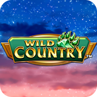 Wild-Country